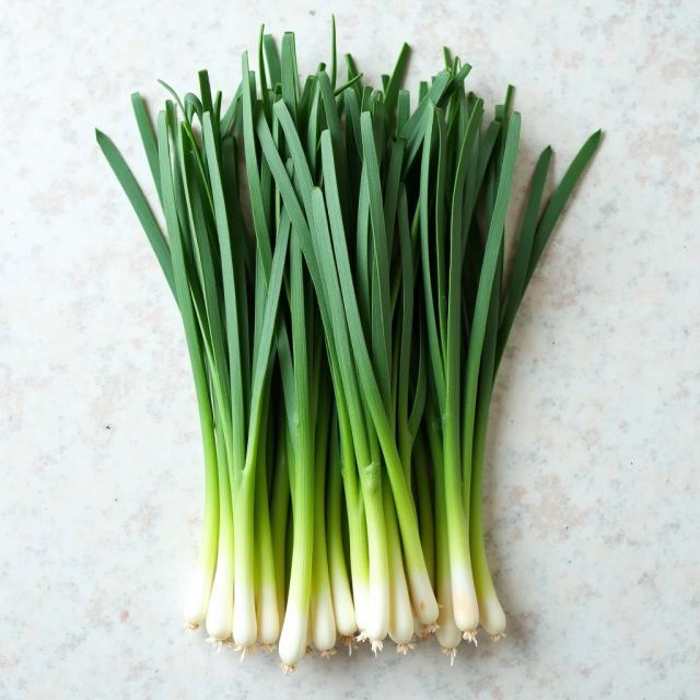 Bund Buchu, koreanischer Knoblauch-Schnittlauch